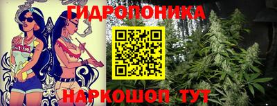 spice Краснознаменск
