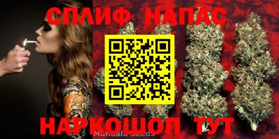 молекула духа Краснодар
