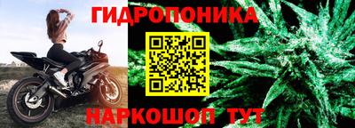 молекула духа Краснодар